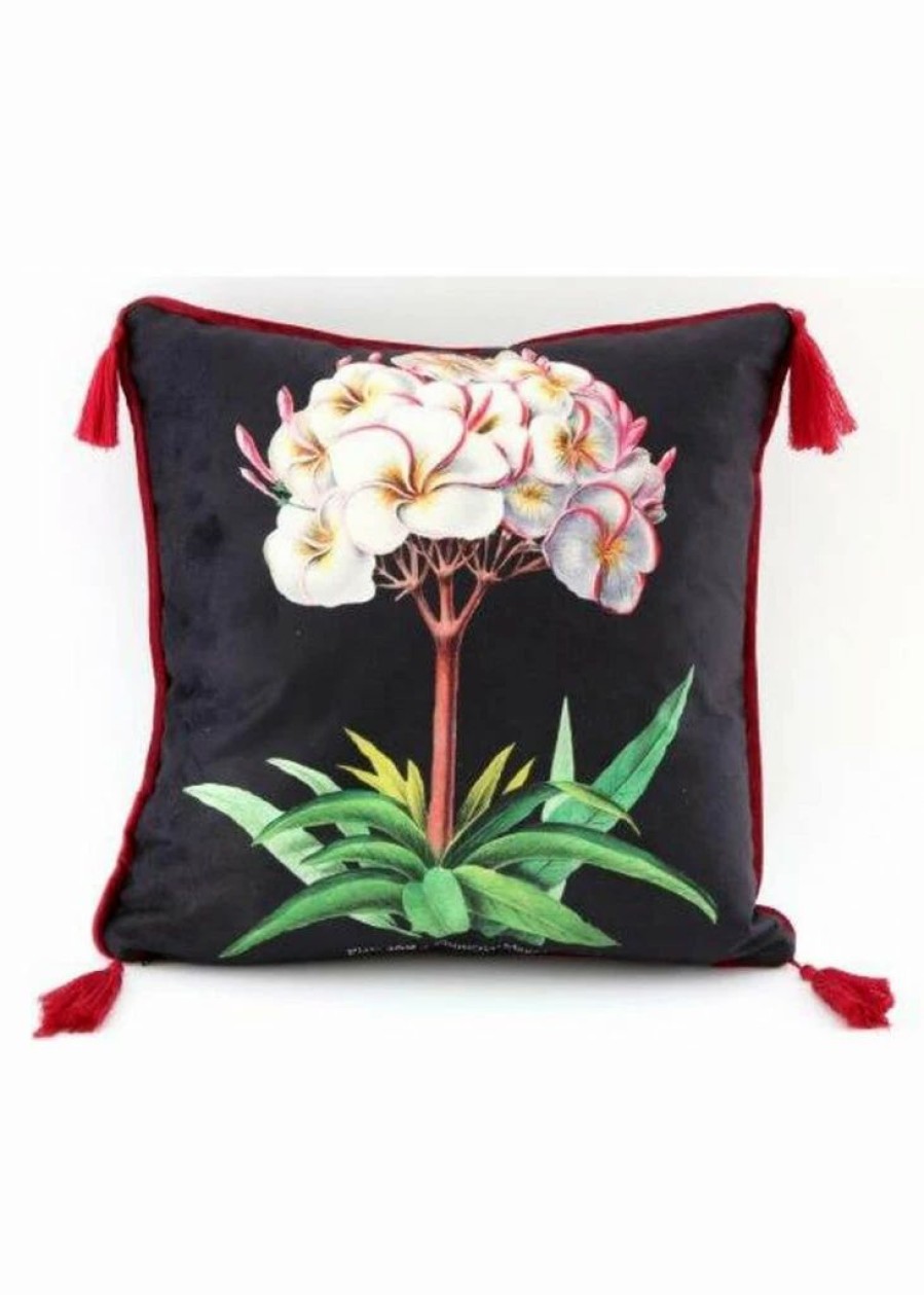 Pillows * | Temerity Jones Botanical Garden Cushion Black Green